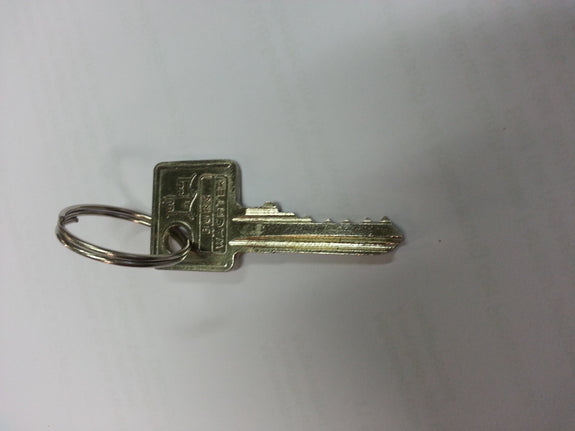 Garagentorschlüssel und Sektionaltorschlüssel mit Schlüsselschalter